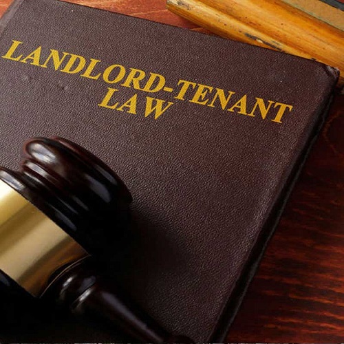 Bail Lawyer