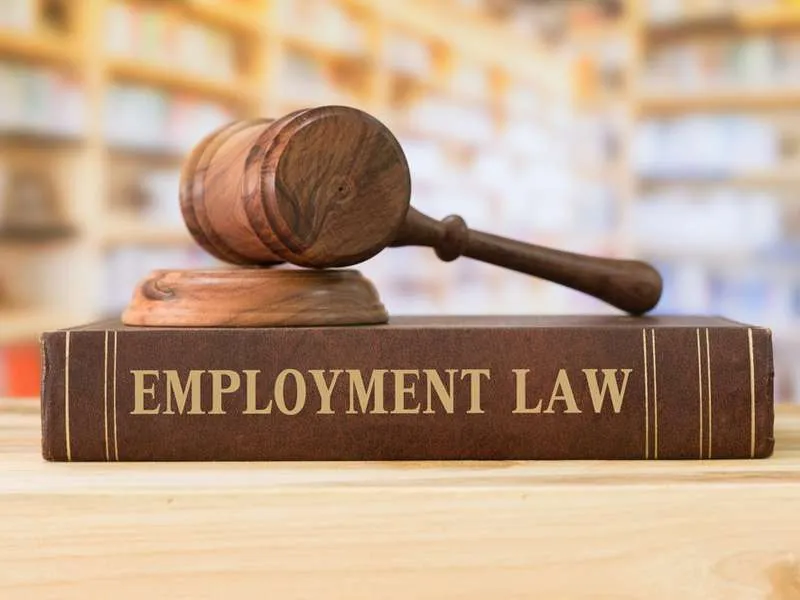 Employment Lawyer