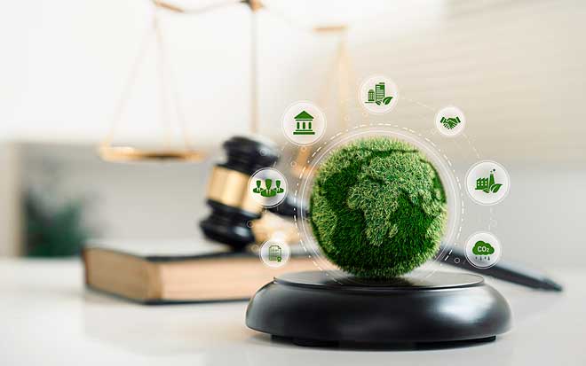Environment Lawyer